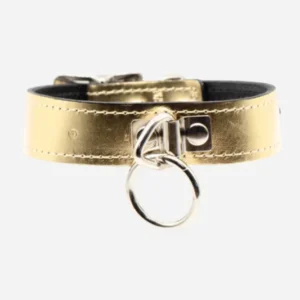 .Anything But Basic O-Ring Collar in Metallic Gold